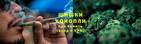 PSILOCYBIN Баксан