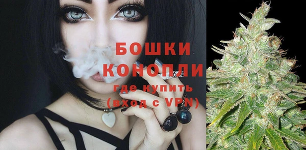 PSILOCYBIN Баксан