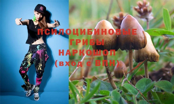 PSILOCYBIN Баксан