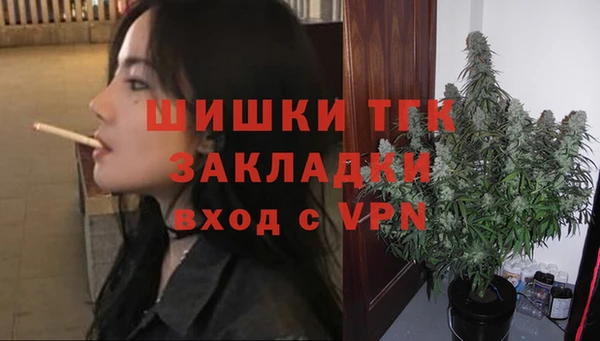 PSILOCYBIN Баксан
